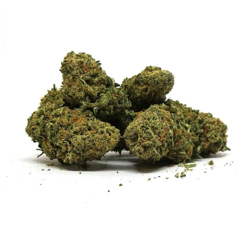 Cookie Kush 30% H4CBD | Fleurs H4CBD | Green House CBD Shop