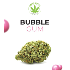 Bubble Gum CBD
